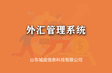 外汇管理系统